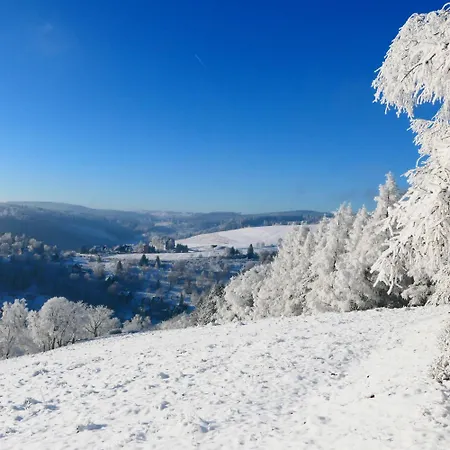 Lauschablick Thueringen アパート ラウシャ