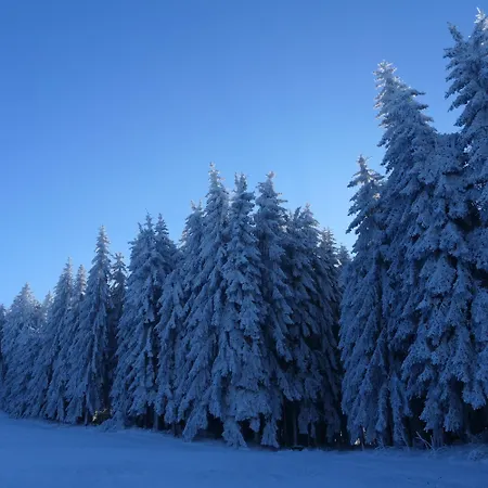 Lauschablick Thueringen דירה