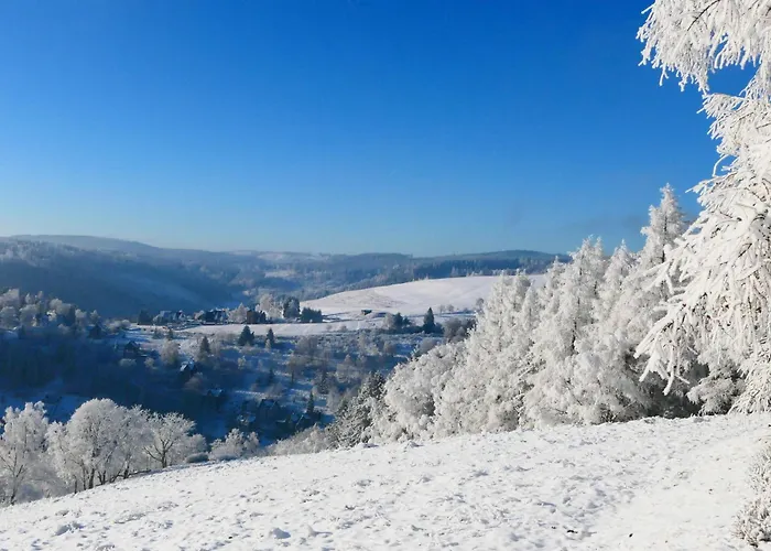 Lauschablick Thueringen アパート ラウシャ