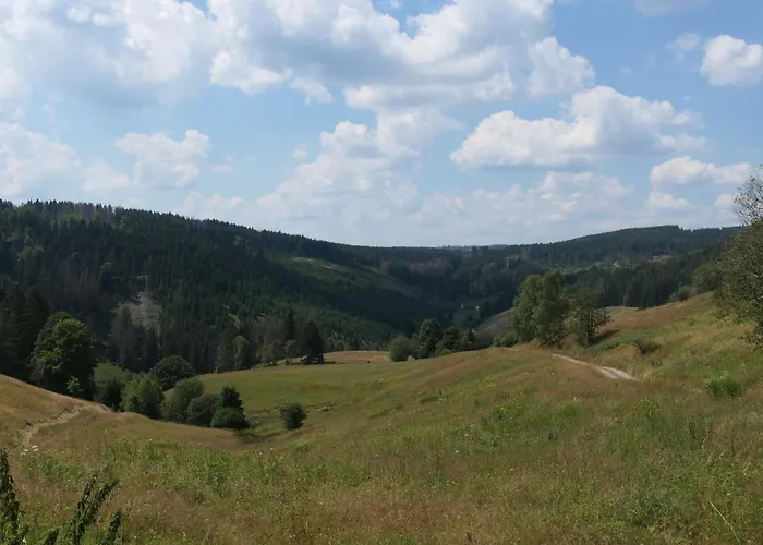 Appartement Lauschablick Thueringen Lauscha