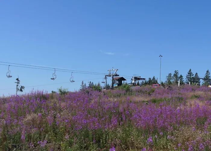 アパート Lauschablick Thueringen ラウシャ