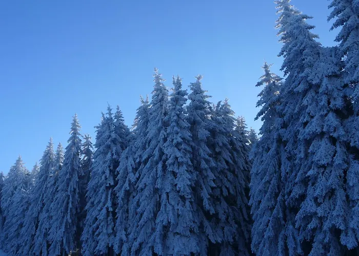 Lauschablick Thueringen Appartement