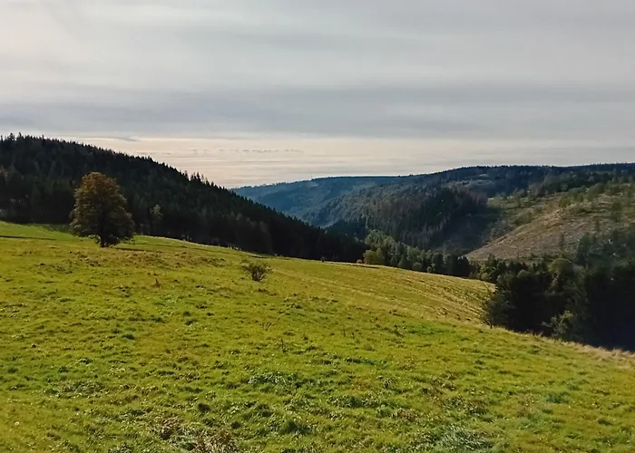 Lauschablick Thueringen Appartement