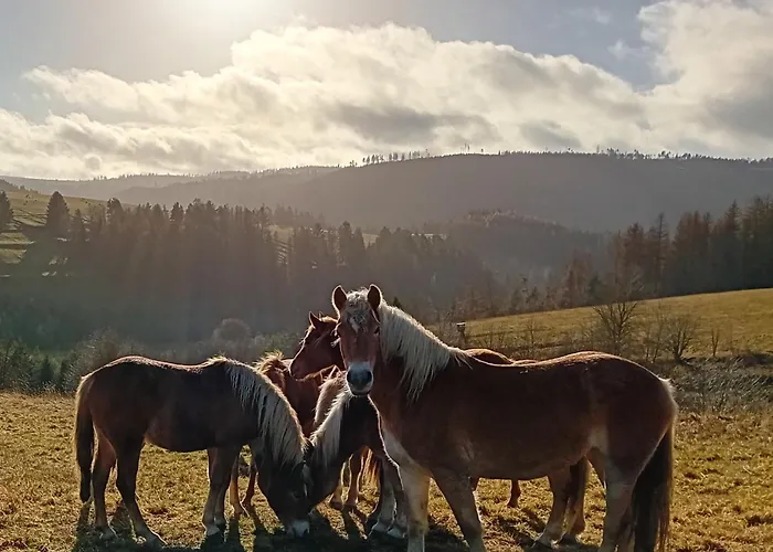 Lauschablick Thueringen *