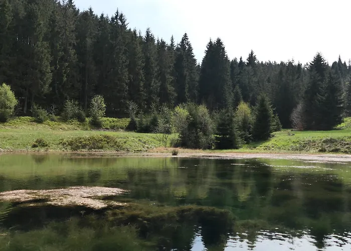 Lauschablick Thueringen アパート ラウシャ