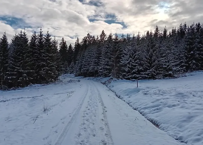 Lauschablick Thueringen Appartement *